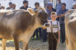 Appenzell, Appenzell Ausserrohden, Appenzeller Hinterland, Brauchtum, Landwirtschaft, Ostschweiz, Schweiz, Stein, Suisse, Switzerland, Tracht, Viehschau, Wirtschaft, tradition