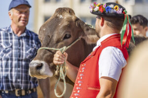 Appenzell, Appenzell Ausserrohden, Appenzeller Hinterland, Brauchtum, Landwirtschaft, Ostschweiz, Schweiz, Stein, Suisse, Switzerland, Tracht, Viehschau, Wirtschaft, tradition