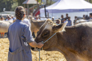 Appenzell, Appenzell Ausserrohden, Appenzeller Hinterland, Brauchtum, Landwirtschaft, Ostschweiz, Schweiz, Stein, Suisse, Switzerland, Tracht, Viehschau, Wirtschaft, tradition