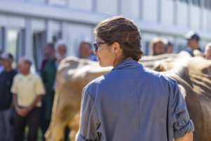 Appenzell, Appenzell Ausserrohden, Appenzeller Hinterland, Brauchtum, Landwirtschaft, Ostschweiz, Schweiz, Stein, Suisse, Switzerland, Tracht, Viehschau, Wirtschaft, tradition