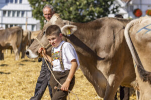 Appenzell, Appenzell Ausserrohden, Appenzeller Hinterland, Brauchtum, Landwirtschaft, Ostschweiz, Schweiz, Stein, Suisse, Switzerland, Tracht, Viehschau, Wirtschaft, tradition