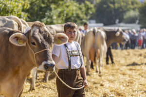 Appenzell, Appenzell Ausserrohden, Appenzeller Hinterland, Brauchtum, Landwirtschaft, Ostschweiz, Schweiz, Stein, Suisse, Switzerland, Tracht, Viehschau, Wirtschaft, tradition