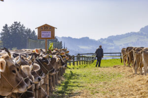 Appenzell, Appenzell Ausserrohden, Appenzeller Hinterland, Brauchtum, Landwirtschaft, Ostschweiz, Schweiz, Stein, Suisse, Switzerland, Tracht, Viehschau, Wirtschaft, tradition