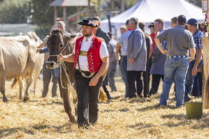 Appenzell, Appenzell Ausserrohden, Appenzeller Hinterland, Brauchtum, Landwirtschaft, Ostschweiz, Schweiz, Stein, Suisse, Switzerland, Tracht, Viehschau, Wirtschaft, tradition
