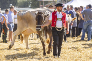 Appenzell, Appenzell Ausserrohden, Appenzeller Hinterland, Brauchtum, Landwirtschaft, Ostschweiz, Schweiz, Stein, Suisse, Switzerland, Tracht, Viehschau, Wirtschaft, tradition