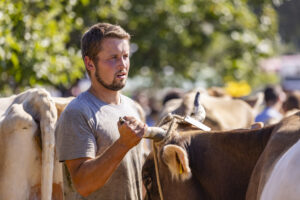 Appenzell, Appenzell Ausserrohden, Appenzeller Hinterland, Brauchtum, Landwirtschaft, Ostschweiz, Schweiz, Stein, Suisse, Switzerland, Tracht, Viehschau, Wirtschaft, tradition