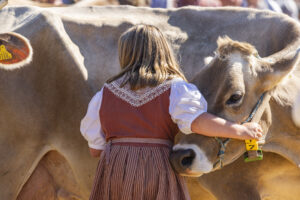 Appenzell, Appenzell Ausserrohden, Appenzeller Hinterland, Brauchtum, Landwirtschaft, Ostschweiz, Schweiz, Stein, Suisse, Switzerland, Tracht, Viehschau, Wirtschaft, tradition
