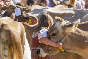 Appenzell, Appenzell Ausserrohden, Appenzeller Hinterland, Brauchtum, Landwirtschaft, Ostschweiz, Schweiz, Stein, Suisse, Switzerland, Tracht, Viehschau, Wirtschaft, tradition