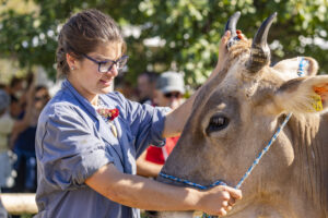 Appenzell, Appenzell Ausserrohden, Appenzeller Hinterland, Brauchtum, Landwirtschaft, Ostschweiz, Schweiz, Stein, Suisse, Switzerland, Tracht, Viehschau, Wirtschaft, tradition