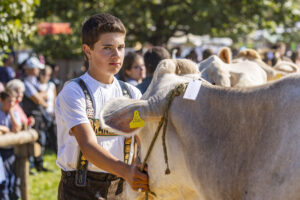 Appenzell, Appenzell Ausserrohden, Appenzeller Hinterland, Brauchtum, Landwirtschaft, Ostschweiz, Schweiz, Stein, Suisse, Switzerland, Tracht, Viehschau, Wirtschaft, tradition
