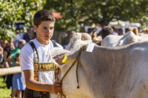 Appenzell, Appenzell Ausserrohden, Appenzeller Hinterland, Brauchtum, Landwirtschaft, Ostschweiz, Schweiz, Stein, Suisse, Switzerland, Tracht, Viehschau, Wirtschaft, tradition