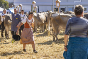 Appenzell, Appenzell Ausserrohden, Appenzeller Hinterland, Brauchtum, Landwirtschaft, Ostschweiz, Schweiz, Stein, Suisse, Switzerland, Tracht, Viehschau, Wirtschaft, tradition