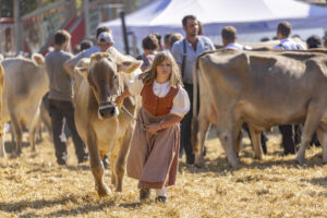 Appenzell, Appenzell Ausserrohden, Appenzeller Hinterland, Brauchtum, Landwirtschaft, Ostschweiz, Schweiz, Stein, Suisse, Switzerland, Tracht, Viehschau, Wirtschaft, tradition