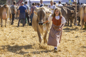 Appenzell, Appenzell Ausserrohden, Appenzeller Hinterland, Brauchtum, Landwirtschaft, Ostschweiz, Schweiz, Stein, Suisse, Switzerland, Tracht, Viehschau, Wirtschaft, tradition