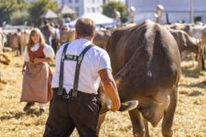 Appenzell, Appenzell Ausserrohden, Appenzeller Hinterland, Brauchtum, Landwirtschaft, Ostschweiz, Schweiz, Stein, Suisse, Switzerland, Tracht, Viehschau, Wirtschaft, tradition