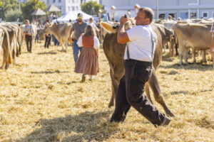 Appenzell, Appenzell Ausserrohden, Appenzeller Hinterland, Brauchtum, Landwirtschaft, Ostschweiz, Schweiz, Stein, Suisse, Switzerland, Tracht, Viehschau, Wirtschaft, tradition