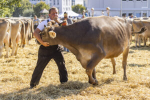 Appenzell, Appenzell Ausserrohden, Appenzeller Hinterland, Brauchtum, Landwirtschaft, Ostschweiz, Schweiz, Stein, Suisse, Switzerland, Tracht, Viehschau, Wirtschaft, tradition