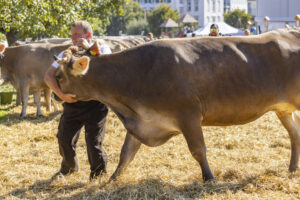 Appenzell, Appenzell Ausserrohden, Appenzeller Hinterland, Brauchtum, Landwirtschaft, Ostschweiz, Schweiz, Stein, Suisse, Switzerland, Tracht, Viehschau, Wirtschaft, tradition