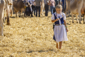 Appenzell, Appenzell Ausserrohden, Appenzeller Hinterland, Brauchtum, Landwirtschaft, Ostschweiz, Schweiz, Stein, Suisse, Switzerland, Tracht, Viehschau, Wirtschaft, tradition