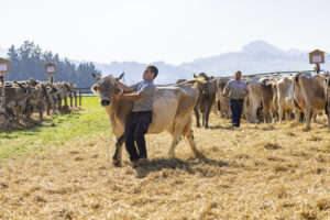 Appenzell, Appenzell Ausserrohden, Appenzeller Hinterland, Brauchtum, Landwirtschaft, Ostschweiz, Schweiz, Stein, Suisse, Switzerland, Tracht, Viehschau, Wirtschaft, tradition