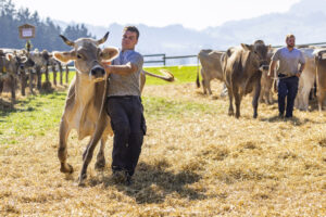 Appenzell, Appenzell Ausserrohden, Appenzeller Hinterland, Brauchtum, Landwirtschaft, Ostschweiz, Schweiz, Stein, Suisse, Switzerland, Tracht, Viehschau, Wirtschaft, tradition