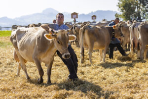 Appenzell, Appenzell Ausserrohden, Appenzeller Hinterland, Brauchtum, Landwirtschaft, Ostschweiz, Schweiz, Stein, Suisse, Switzerland, Tracht, Viehschau, Wirtschaft, tradition