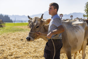 Appenzell, Appenzell Ausserrohden, Appenzeller Hinterland, Brauchtum, Landwirtschaft, Ostschweiz, Schweiz, Stein, Suisse, Switzerland, Tracht, Viehschau, Wirtschaft, tradition