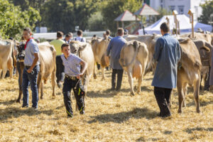 Appenzell, Appenzell Ausserrohden, Appenzeller Hinterland, Brauchtum, Landwirtschaft, Ostschweiz, Schweiz, Stein, Suisse, Switzerland, Tracht, Viehschau, Wirtschaft, tradition