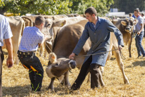 Appenzell, Appenzell Ausserrohden, Appenzeller Hinterland, Brauchtum, Landwirtschaft, Ostschweiz, Schweiz, Stein, Suisse, Switzerland, Tracht, Viehschau, Wirtschaft, tradition