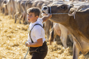 Appenzell, Appenzell Ausserrohden, Appenzeller Hinterland, Brauchtum, Landwirtschaft, Ostschweiz, Schweiz, Stein, Suisse, Switzerland, Tracht, Viehschau, Wirtschaft, tradition