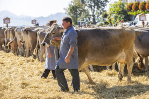 Appenzell, Appenzell Ausserrohden, Appenzeller Hinterland, Brauchtum, Landwirtschaft, Ostschweiz, Schweiz, Stein, Suisse, Switzerland, Tracht, Viehschau, Wirtschaft, tradition