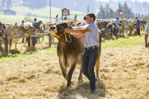 Appenzell, Appenzell Ausserrohden, Appenzeller Hinterland, Brauchtum, Landwirtschaft, Ostschweiz, Schweiz, Stein, Suisse, Switzerland, Tracht, Viehschau, Wirtschaft, tradition