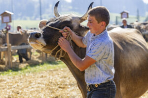 Appenzell, Appenzell Ausserrohden, Appenzeller Hinterland, Brauchtum, Landwirtschaft, Ostschweiz, Schweiz, Stein, Suisse, Switzerland, Tracht, Viehschau, Wirtschaft, tradition