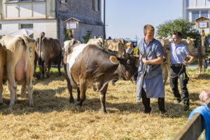 Appenzell, Appenzell Ausserrohden, Appenzeller Hinterland, Brauchtum, Landwirtschaft, Ostschweiz, Schweiz, Stein, Suisse, Switzerland, Tracht, Viehschau, Wirtschaft, tradition