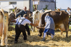 Appenzell, Appenzell Ausserrohden, Appenzeller Hinterland, Brauchtum, Landwirtschaft, Ostschweiz, Schweiz, Stein, Suisse, Switzerland, Tracht, Viehschau, Wirtschaft, tradition