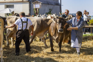 Appenzell, Appenzell Ausserrohden, Appenzeller Hinterland, Brauchtum, Landwirtschaft, Ostschweiz, Schweiz, Stein, Suisse, Switzerland, Tracht, Viehschau, Wirtschaft, tradition