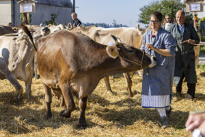 Appenzell, Appenzell Ausserrohden, Appenzeller Hinterland, Brauchtum, Landwirtschaft, Ostschweiz, Schweiz, Stein, Suisse, Switzerland, Tracht, Viehschau, Wirtschaft, tradition