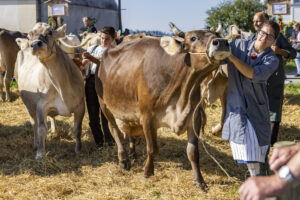 Appenzell, Appenzell Ausserrohden, Appenzeller Hinterland, Brauchtum, Landwirtschaft, Ostschweiz, Schweiz, Stein, Suisse, Switzerland, Tracht, Viehschau, Wirtschaft, tradition