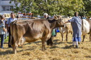 Appenzell, Appenzell Ausserrohden, Appenzeller Hinterland, Brauchtum, Landwirtschaft, Ostschweiz, Schweiz, Stein, Suisse, Switzerland, Tracht, Viehschau, Wirtschaft, tradition