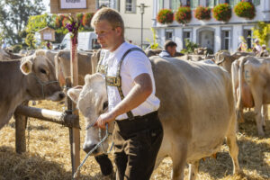 Appenzell, Appenzell Ausserrohden, Appenzeller Hinterland, Brauchtum, Landwirtschaft, Ostschweiz, Schweiz, Stein, Suisse, Switzerland, Tracht, Viehschau, Wirtschaft, tradition