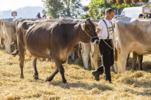 Appenzell, Appenzell Ausserrohden, Appenzeller Hinterland, Brauchtum, Landwirtschaft, Ostschweiz, Schweiz, Stein, Suisse, Switzerland, Tracht, Viehschau, Wirtschaft, tradition