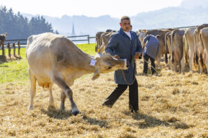 Appenzell, Appenzell Ausserrohden, Appenzeller Hinterland, Brauchtum, Landwirtschaft, Ostschweiz, Schweiz, Stein, Suisse, Switzerland, Tracht, Viehschau, Wirtschaft, tradition