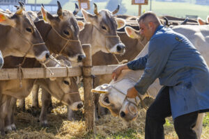 Appenzell, Appenzell Ausserrohden, Appenzeller Hinterland, Brauchtum, Landwirtschaft, Ostschweiz, Schweiz, Stein, Suisse, Switzerland, Tracht, Viehschau, Wirtschaft, tradition
