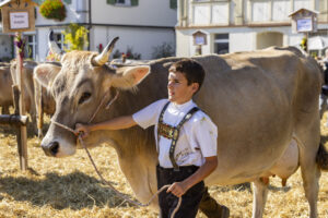 Appenzell, Appenzell Ausserrohden, Appenzeller Hinterland, Brauchtum, Landwirtschaft, Ostschweiz, Schweiz, Stein, Suisse, Switzerland, Tracht, Viehschau, Wirtschaft, tradition