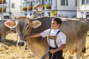 Appenzell, Appenzell Ausserrohden, Appenzeller Hinterland, Brauchtum, Landwirtschaft, Ostschweiz, Schweiz, Stein, Suisse, Switzerland, Tracht, Viehschau, Wirtschaft, tradition