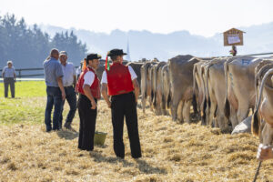 Appenzell, Appenzell Ausserrohden, Appenzeller Hinterland, Brauchtum, Landwirtschaft, Ostschweiz, Schweiz, Stein, Suisse, Switzerland, Tracht, Viehschau, Wirtschaft, tradition