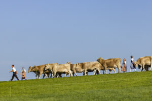 Appenzell, Appenzell Ausserrohden, Appenzeller Hinterland, Brauchtum, Landwirtschaft, Ostschweiz, Schweiz, Stein, Suisse, Switzerland, Tracht, Viehschau, Wirtschaft, tradition