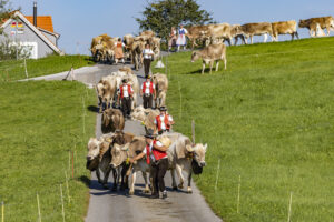 Appenzell, Appenzell Ausserrohden, Appenzeller Hinterland, Brauchtum, Landwirtschaft, Ostschweiz, Schweiz, Stein, Suisse, Switzerland, Tracht, Viehschau, Wirtschaft, tradition