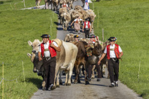 Appenzell, Appenzell Ausserrohden, Appenzeller Hinterland, Brauchtum, Landwirtschaft, Ostschweiz, Schweiz, Stein, Suisse, Switzerland, Tracht, Viehschau, Wirtschaft, tradition