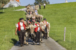 Appenzell, Appenzell Ausserrohden, Appenzeller Hinterland, Brauchtum, Landwirtschaft, Ostschweiz, Schweiz, Stein, Suisse, Switzerland, Tracht, Viehschau, Wirtschaft, tradition